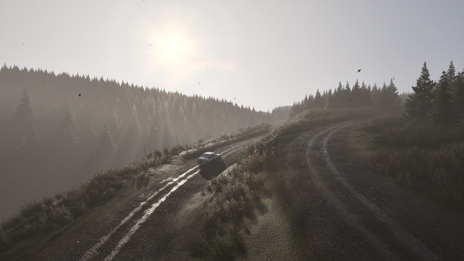 https://images.2game.com/screenshot/assetto-corsa-rally-buy-cdkey-full-8.jpg